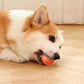 🐶🎾 Intelligenter Interaktiver Hüpfball für Haustiere