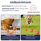 🐶🎾 Intelligenter Interaktiver Hüpfball für Haustiere