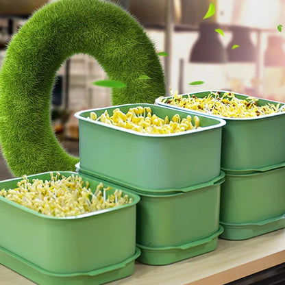 🌱💚Stapelbare Keimsaat-Anzuchtbox🎉 Zweites zum halben Preis! Mehrschichtiges Design, perfekt für den Heimanbau, gesundes grünes Leben!