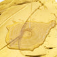 ✨🏠 50% Rabatt: Umweltfreundliche wasserbasierte Goldfarbe – Höchste Wetterbeständigkeit & einfache Anwendung für elegante Innen- & Außendekoration! ✨👍