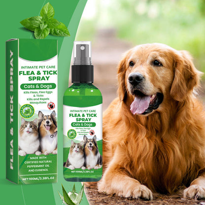 🐶🌿 Natürliches Floh- & Zeckenspray