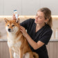 🐶Sanfte Ohrreinigungslösung für Hunde & Katzen – mit weicher Silikonspitze